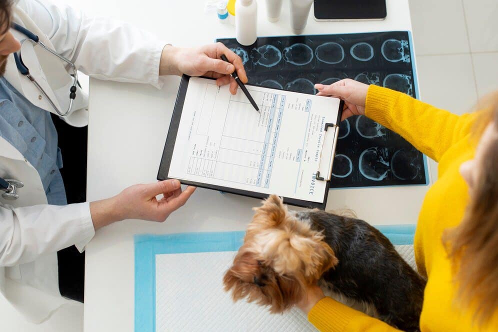 cute dog during consultation 23 2149314384 1